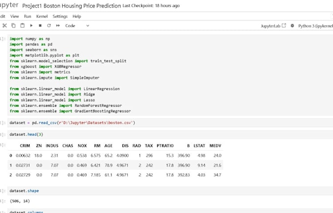 Gig Preview - Perform machine learning and data analysis with python