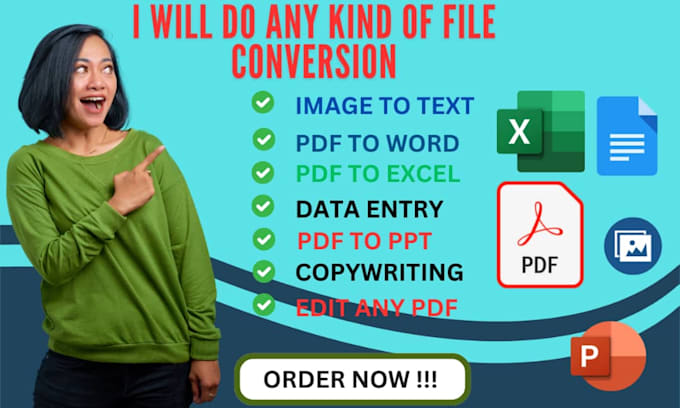 Gig Preview - Do data entry, excel, word, data editing and file conversion for real estate