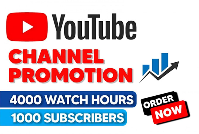 Gig Preview - Youtube promotion channel monetization channel shoutout  video SEO