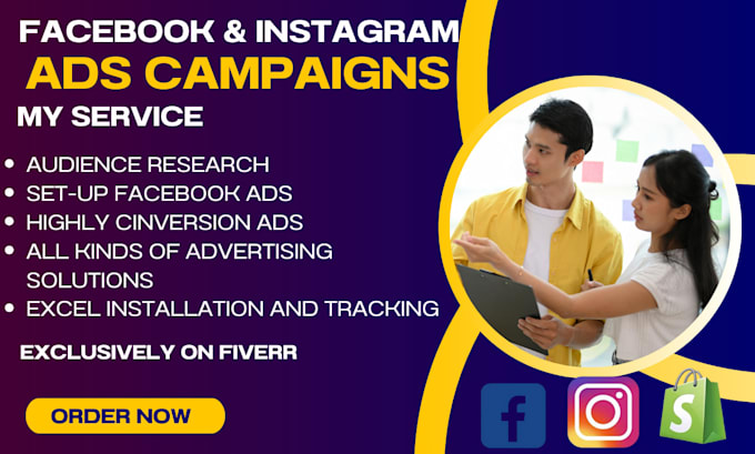 Gig Preview - Be your facebook and instagram ads campaign manager