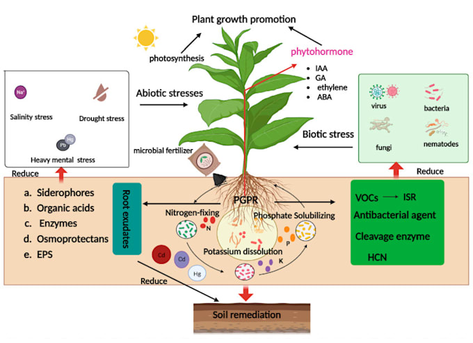 Gig Preview - Agriculture fertilizer formulation development and optimization