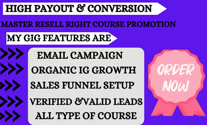 Gig Preview - Use email marketing to promote master resell right, campaign, sales funnel