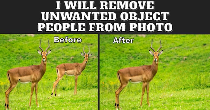 Gig Preview - Remove unwanted objects people from any photo