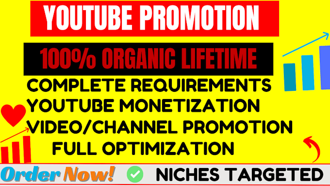 Gig Preview - Do fast organic youtube video or channel promotion for monetization