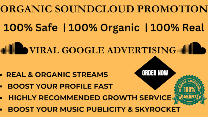 Gig Preview - Do best soundcloud music promotion using google ads campaign