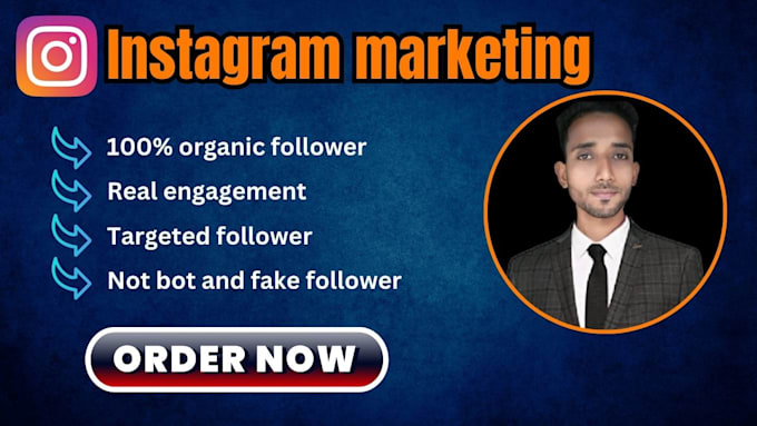 Gig Preview - Do instagram organic follower growth