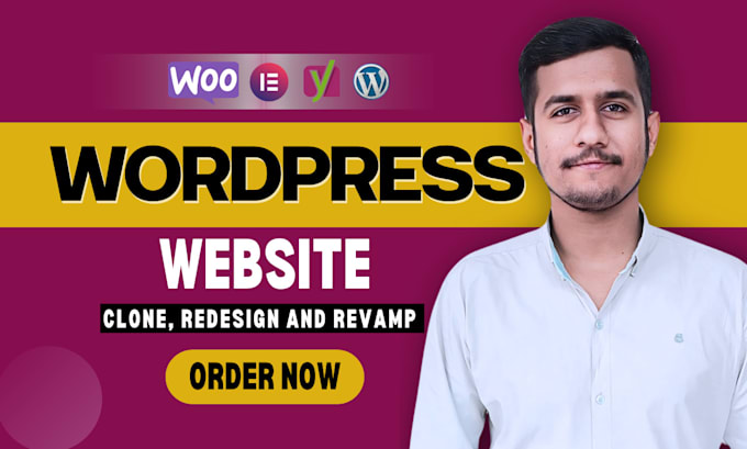 Gig Preview - Professionally clone, redesign and revamp wordpress website