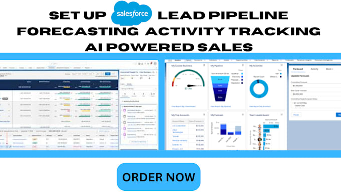 Gig Preview - Set up salesforce lead pipeline forecasting activity tracking ai powered sales