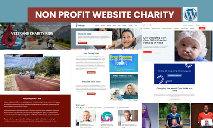 Gig Preview - Build crowdfunding website charity website ngo website and donation website