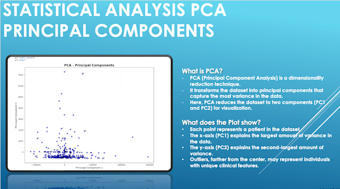 Gig Preview - Clean, organize, and visualize your data using excel and python