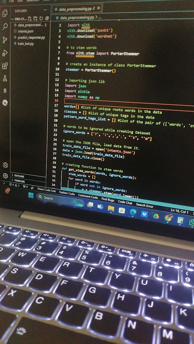 Gig Preview - Create python scripts, problems and projects