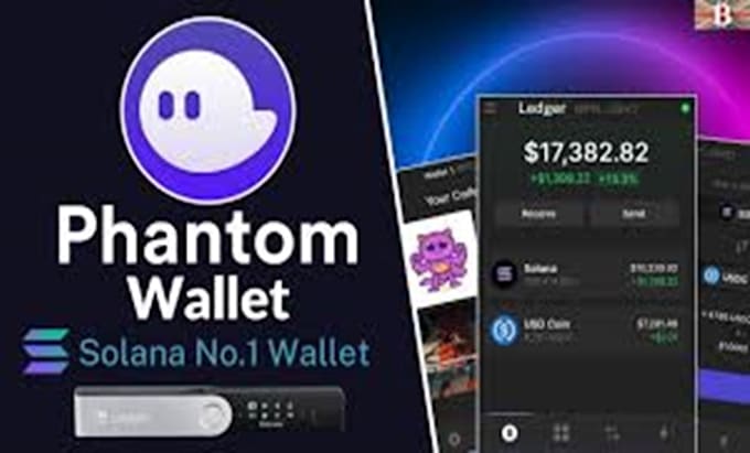 Gig Preview - Build  phantom wallet app crypto wallet app solana phantom wallet app