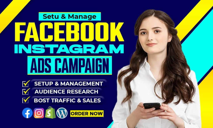 Gig Preview - Be your facebook ads manager and instagram ads