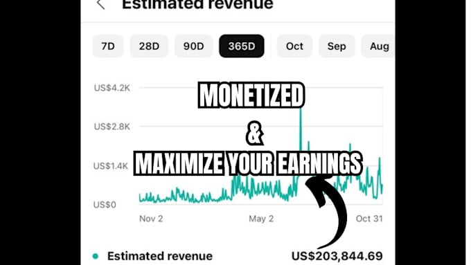 Gig Preview - Do organic youtube promotion and monetization