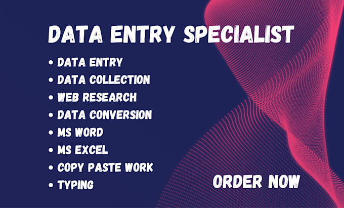 Gig Preview - Be your data entry expert