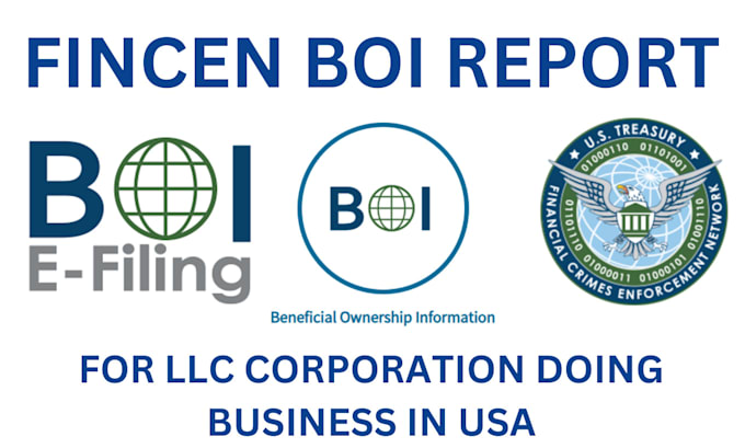 Gig Preview - File boir or beneficial ownership information reporting