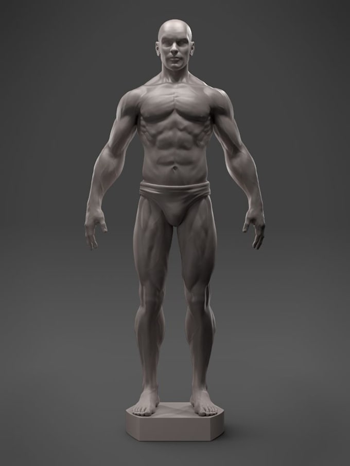 Gig Preview - Anatomical 3d human model, texture,fix stl file,statue, gcode 3d printable model