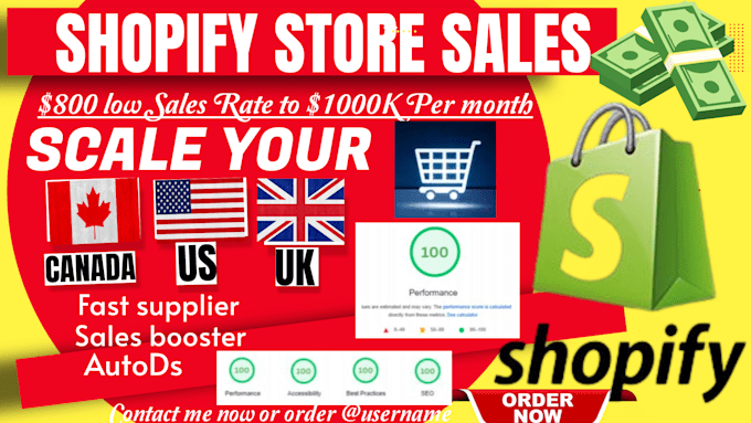 Gig Preview - Scale your shopify store sales rate to 1k dollar per month