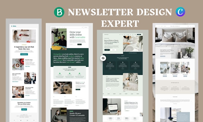 Gig Preview - Do editable canva newsletter design brevo email template mailchimp newsletter