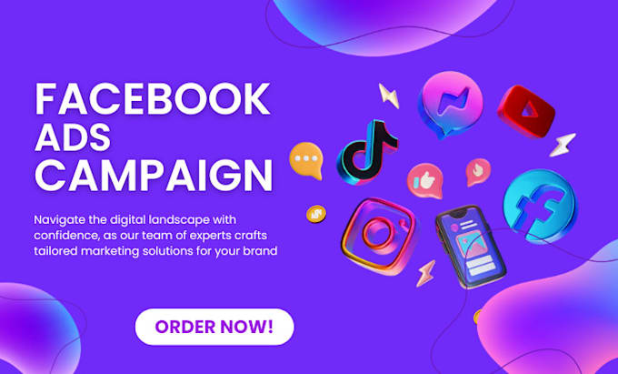 Gig Preview - Set up and manage facebook and instagram ad campaigns for shopify stores