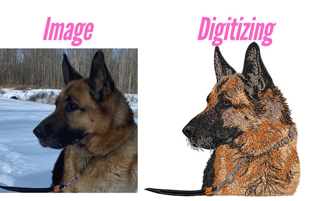 Gig Preview - Custom live image digitizing for embroidery in top quality