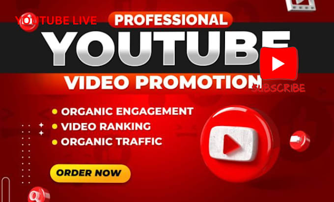 Gig Preview - Do organic youtube promotion for your video