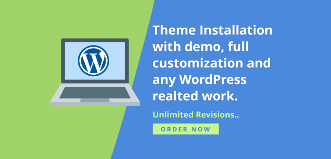 Gig Preview - Install any wordpress theme similar to its demo