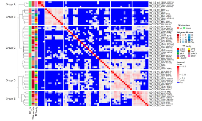 Bestseller - perform advanced bioinformatic analysis including gene expression