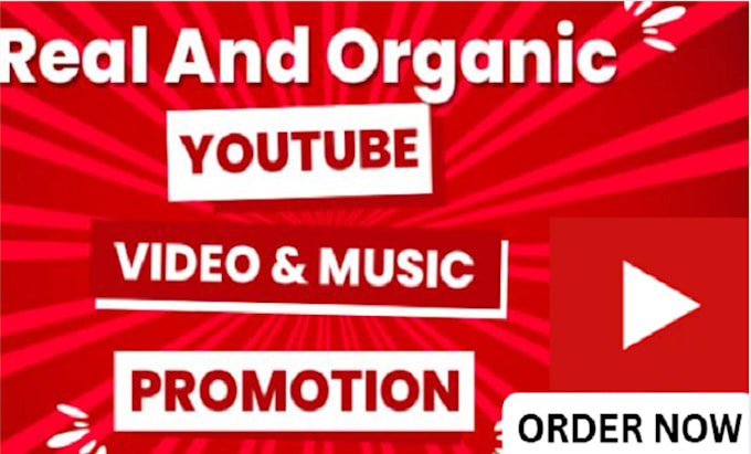 Gig Preview - Do organic youtube channel promotion to growth your monetization views