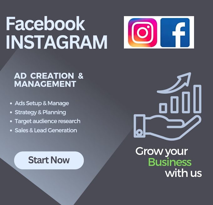 Gig Preview - Create manage facebook and instagram ad campaigns for you