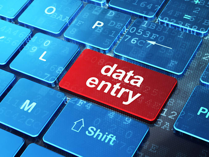 Gig Preview - Do perfect data entry for your business