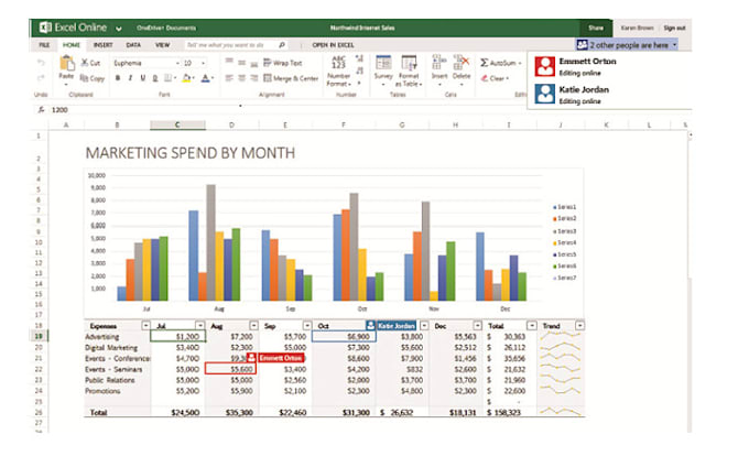 Gig Preview - Quickly enter data into spreadsheets or databases with high accuracy