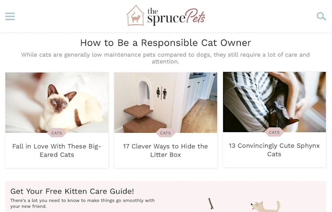 Bestseller - create wordpress website for cats, cat care, cat supplier