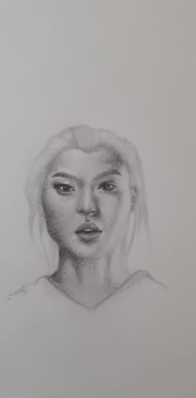 Gig Preview - Draw characters you like or portraits in pencil