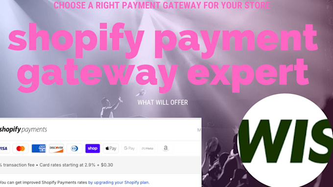 Gig Preview - Create shopify payment gateway paypal stripe wise account