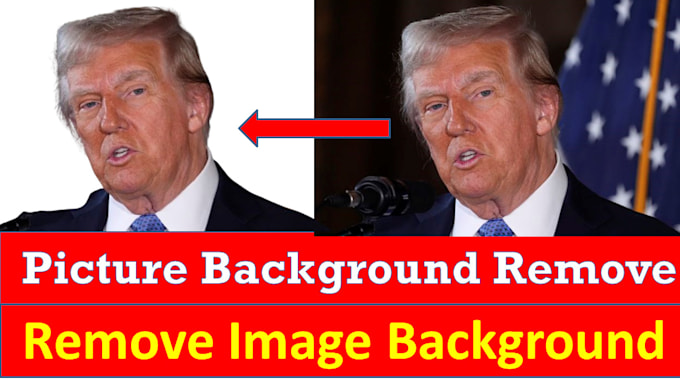 Gig Preview - Do image background removal fast delivery