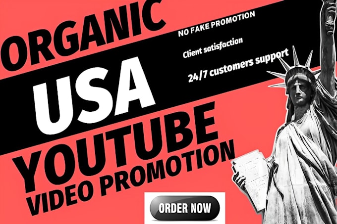 Gig Preview - Do organic USA youtube video promotion, channel growth with channel monetization