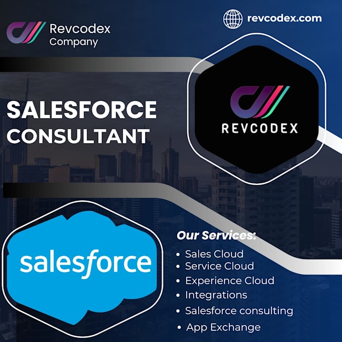 Gig Preview - Do salesforce customization and development services