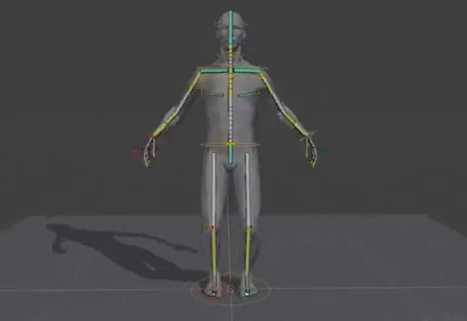 Gig Preview - 3d rokoko rig,full body rig,weightpaint,ue5 3d rig,blendshapes,morph,rig nsfw 3d