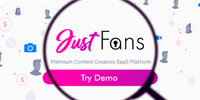 Gig Preview - Customize and develop your justfans or spnzy script website