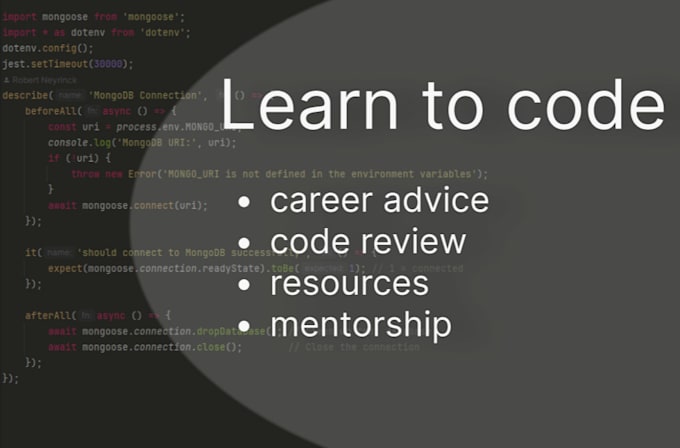 Gig Preview - Provide 1 on 1 developer mentorship and coding guidance