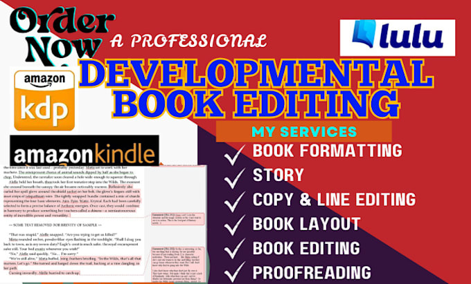 Gig Preview - Developmental book editor proofread, format, fiction novels, memoirs, nonfiction