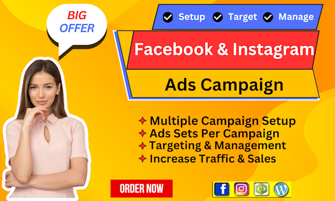 Gig Preview - Manage monthly facebook , instagram ads, promotions and campaigns