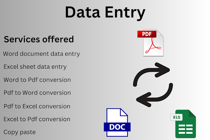 Gig Preview - Do data entry and expert in PDF ,word ,excel and copypaste