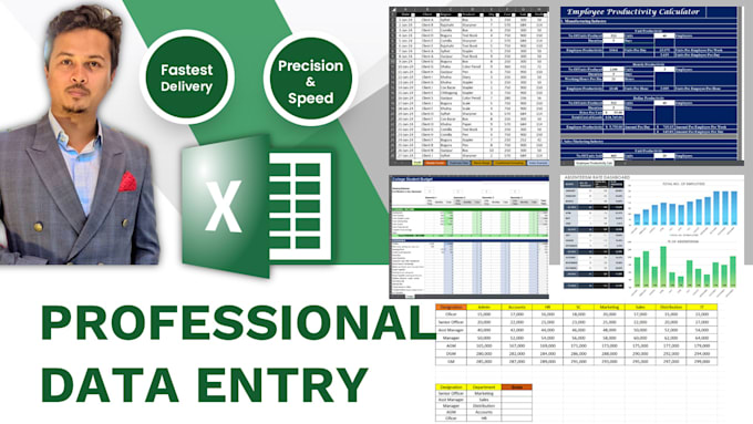 Gig Preview - Do efficient and detailed data entry and research