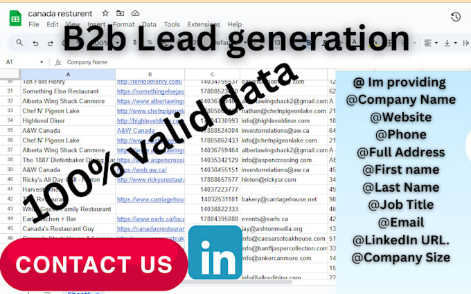 Gig Preview - Do b2b zoominfo lead,linkedin lead and any targeted b2b lead