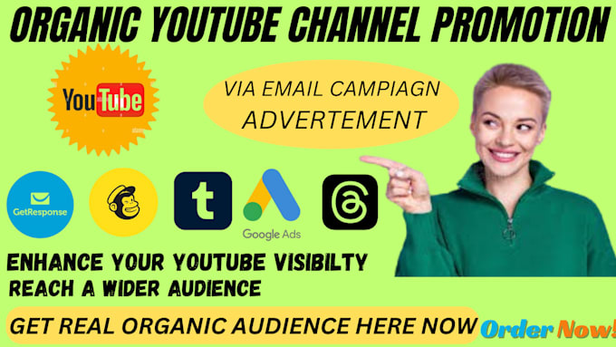 Gig Preview - Do effective youtube channel promotion using campaign advertisement