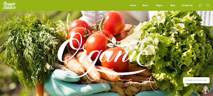 Gig Preview - Build custom turnip website groceries word press website design