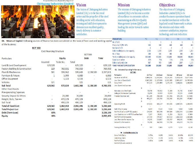 Gig Preview - Do business feasibility, financial feasibility, projected financial statement