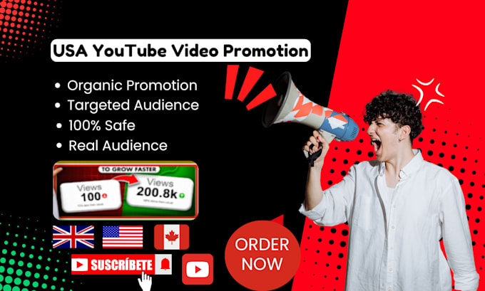 Gig Preview - Do organic USA youtube video promotion and channel promotion